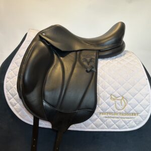 Voltaire Adelaide Dressage 17"