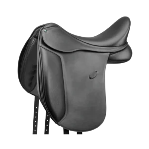 Arena Dressage