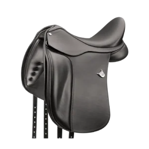 Bates Dressage